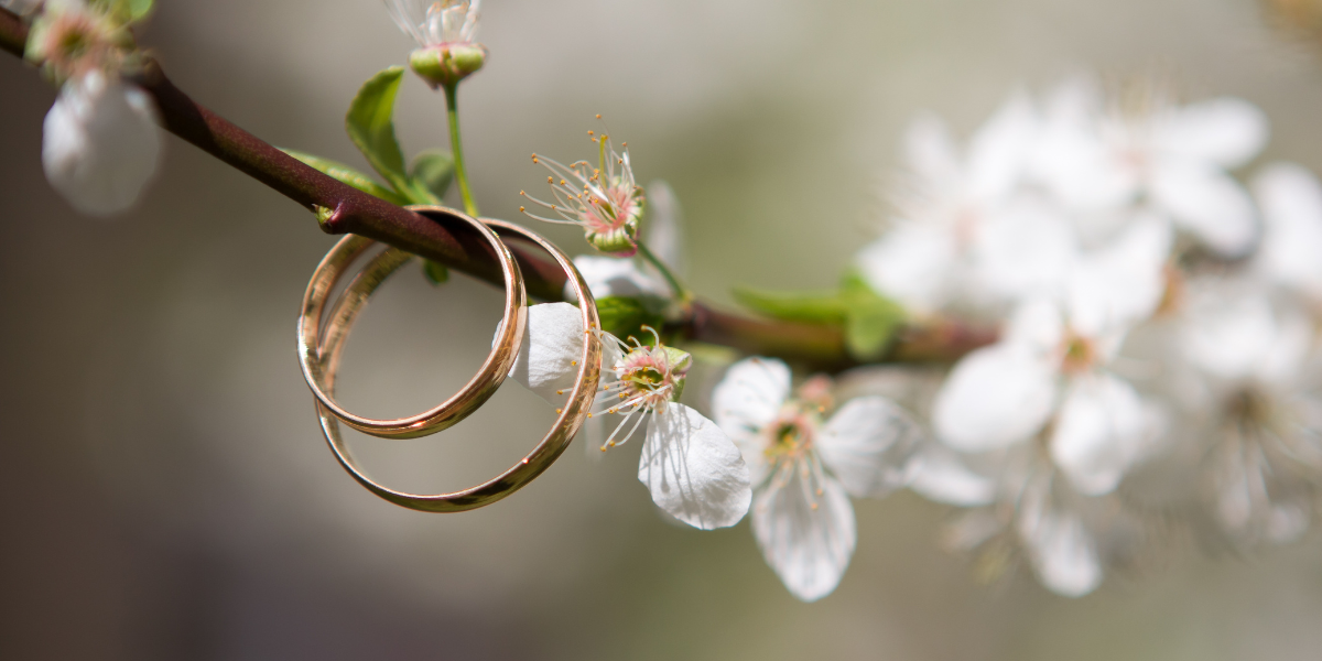 o-que-e-save-the-date